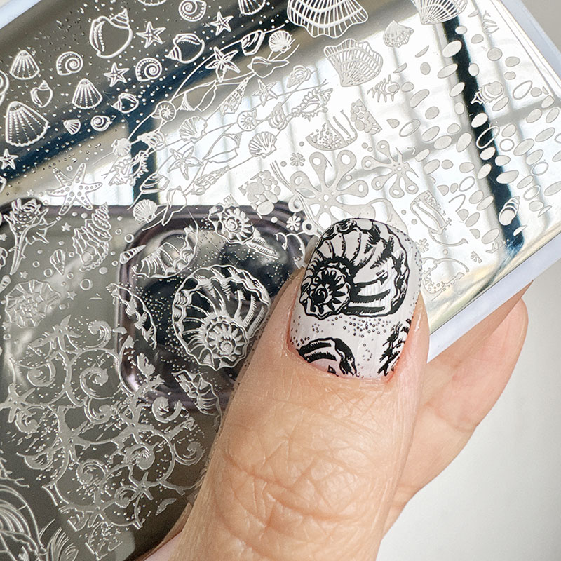 Nail Art Stamping Kit - XMQ แผ่นปั๊มเล็บดีไซน์มหาสมุทรวัดฤดูร้อน