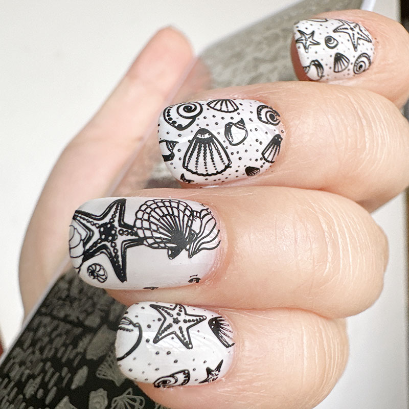 XMQ แผ่นปั๊มเล็บดีไซน์มหาสมุทร - Nail Art Stamping Kit บทวิจารณ์และราคา
