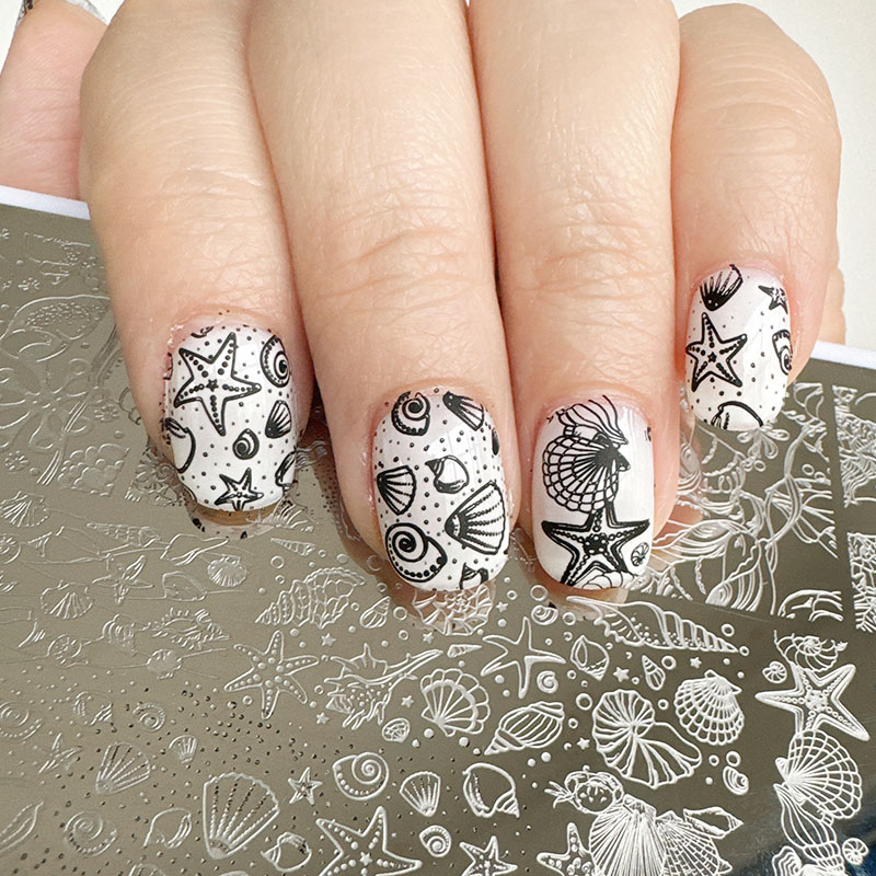 XMQ แผ่นปั๊มเล็บดีไซน์มหาสมุทร - Nail Art Stamping Kit บทวิจารณ์และราคา