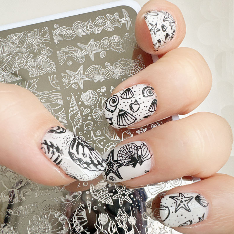 XMQ แผ่นปั๊มเล็บดีไซน์มหาสมุทร - Nail Art Stamping Kit บทวิจารณ์และราคา
